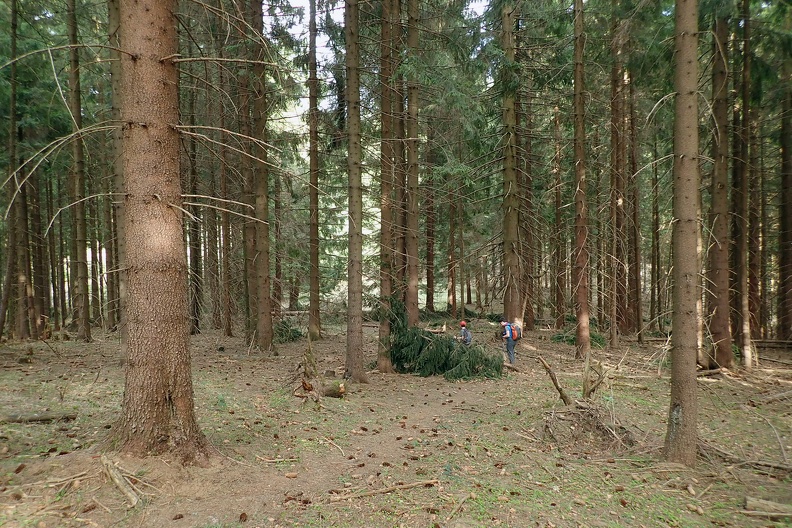 084-P4260542 -- Zeszliśmy odrobinę w dół, wypłaszczyło się