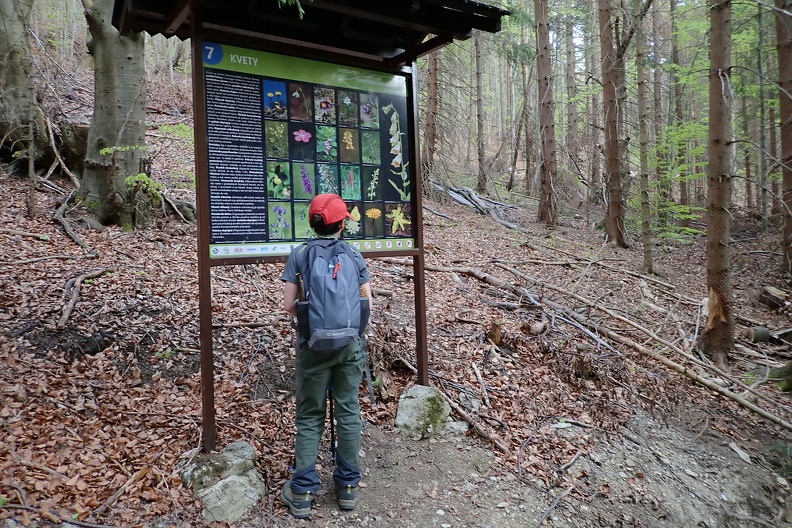 158-P4260731 -- Trafiamy na tablicę numer 7 <i>Švošovského turisticko-náučného chodníka</i>; poświęcono ją kwiatom