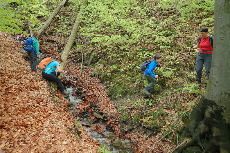 018-P5010793 -- Natomiast Anna działa w sposób racjonalny, metodyczny i stylowy.
Najpierw: wstępne sondowanie koryta wykrokiem prawonożnym