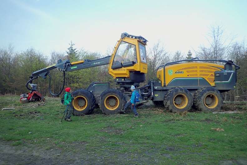 066-P5010889 -- Dzisiaj jest w dobrym nastroju i nie stwarza zagrożenia dla ludzi