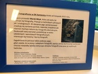 09-1718092612948